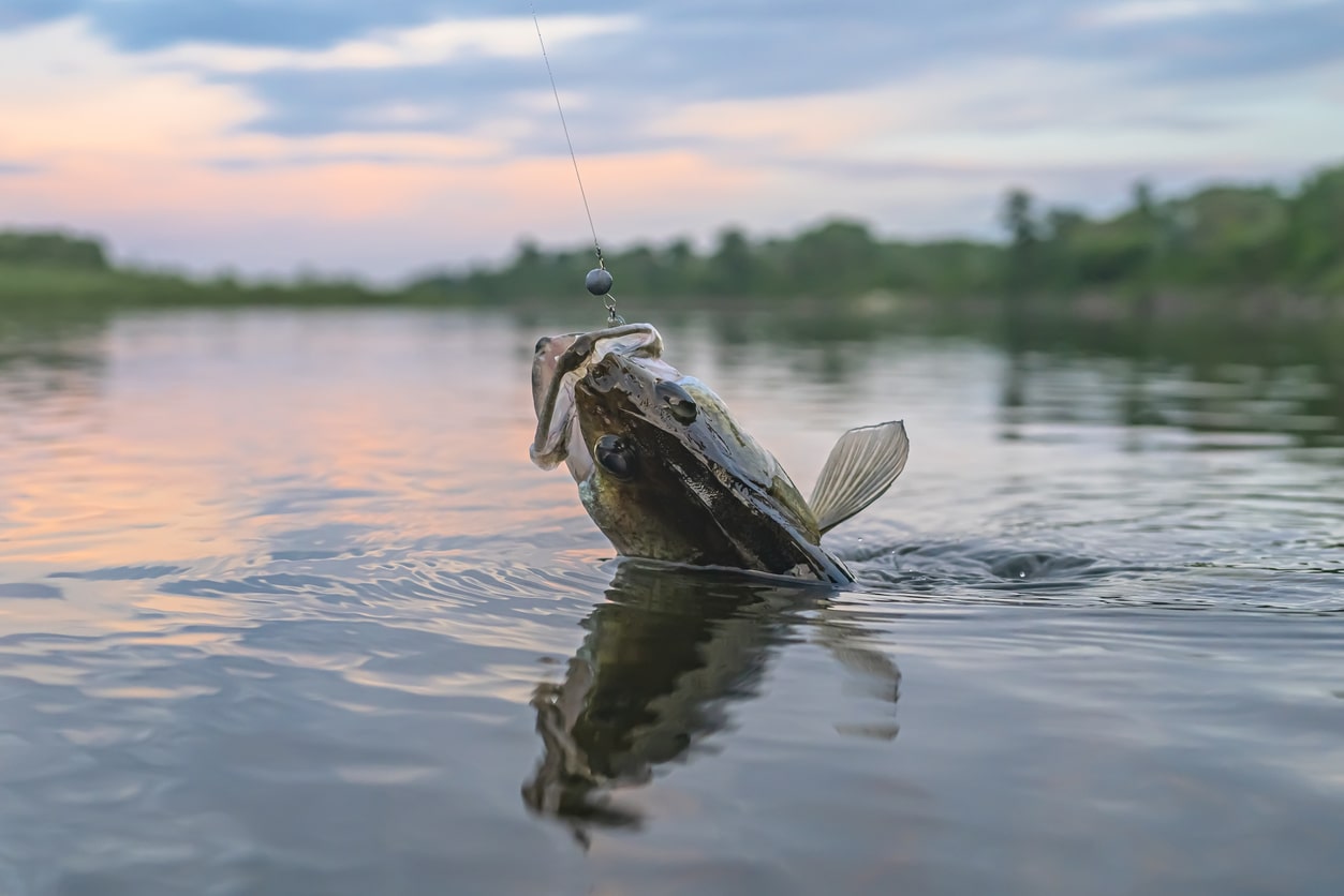 Lake Conroe Fishing Report – March 2021