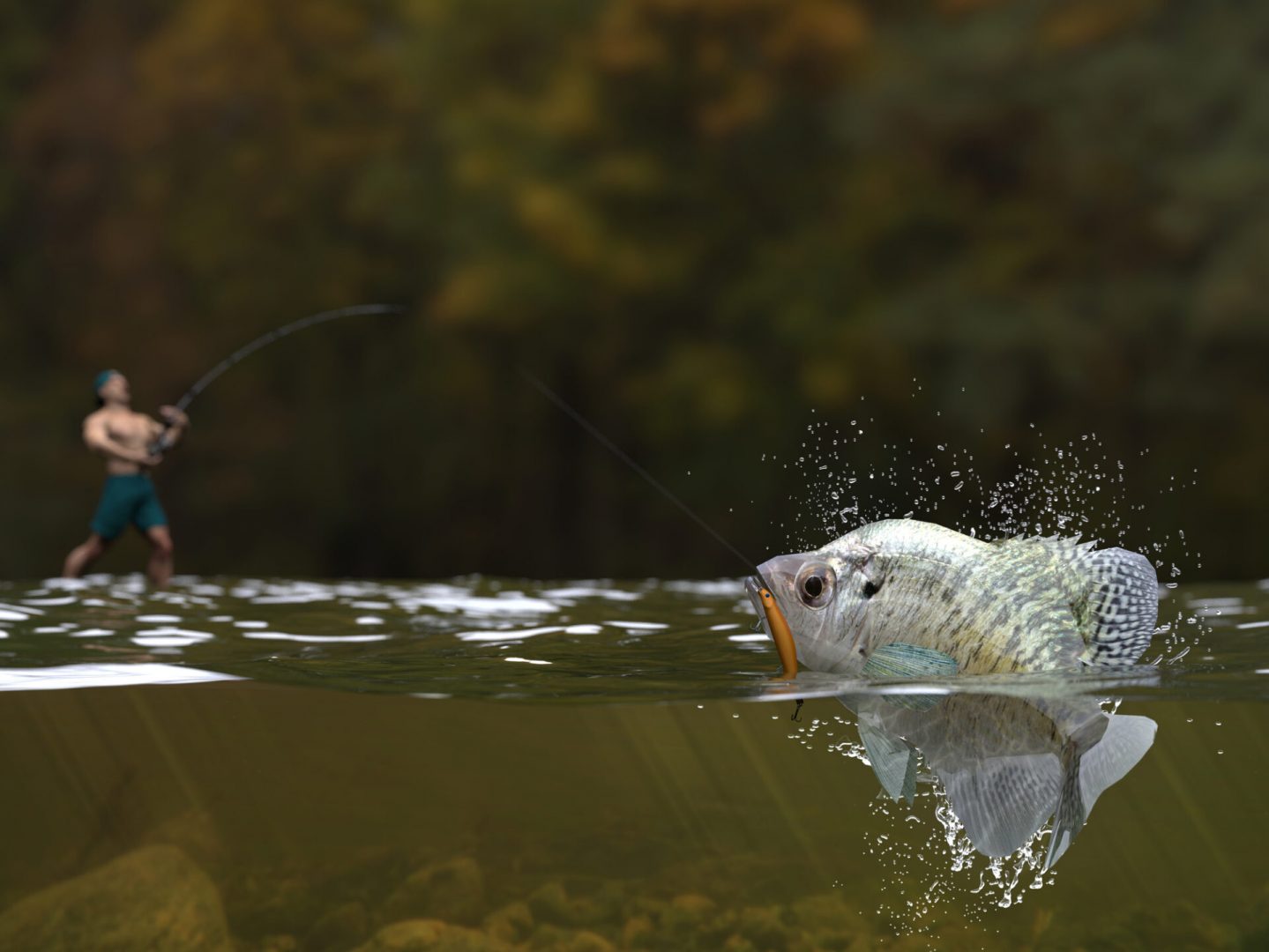 Lake Conroe Fishing Report – June 2021
