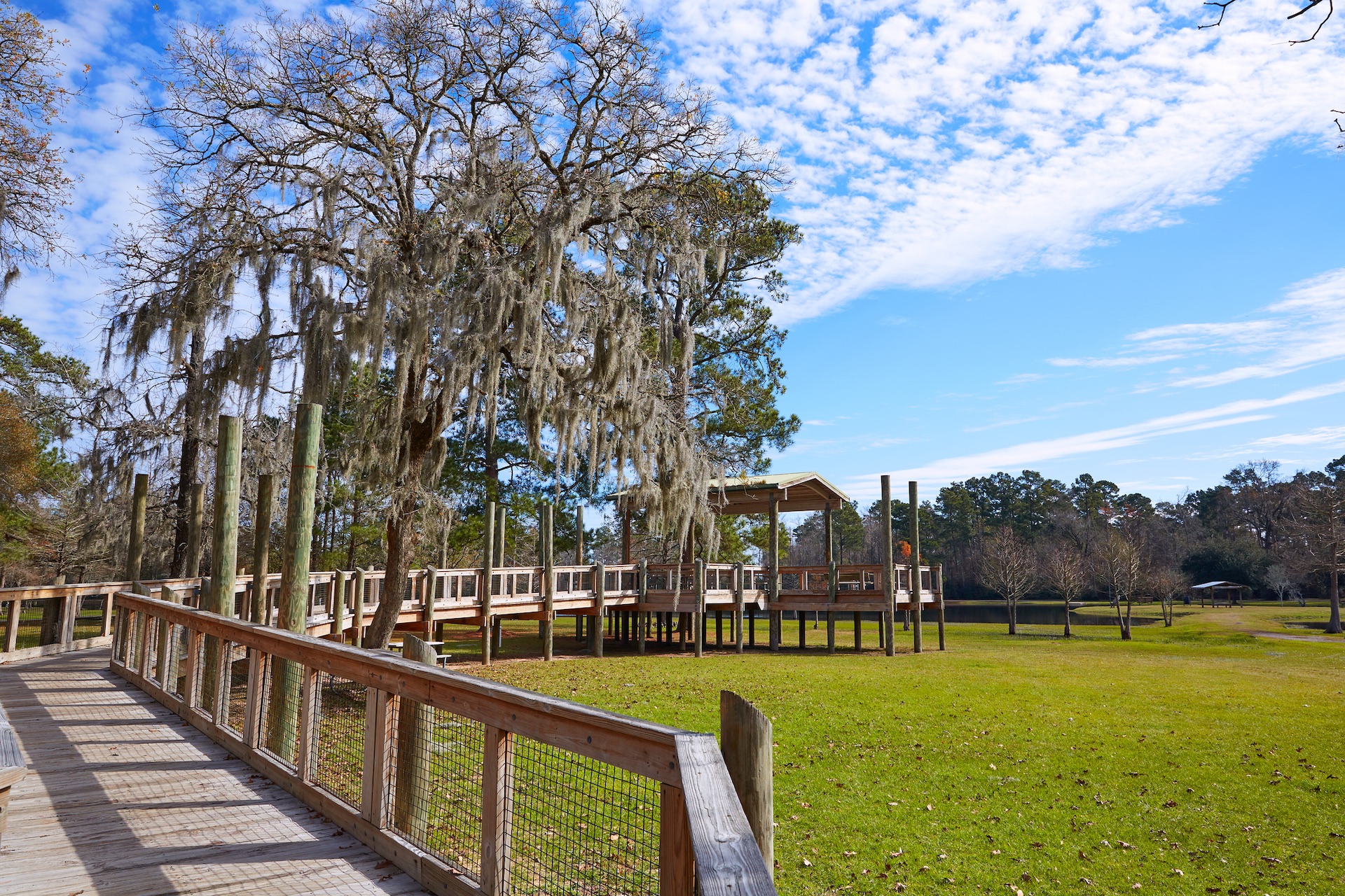 Beautiful Walking Trail at Park in Tomball Texas